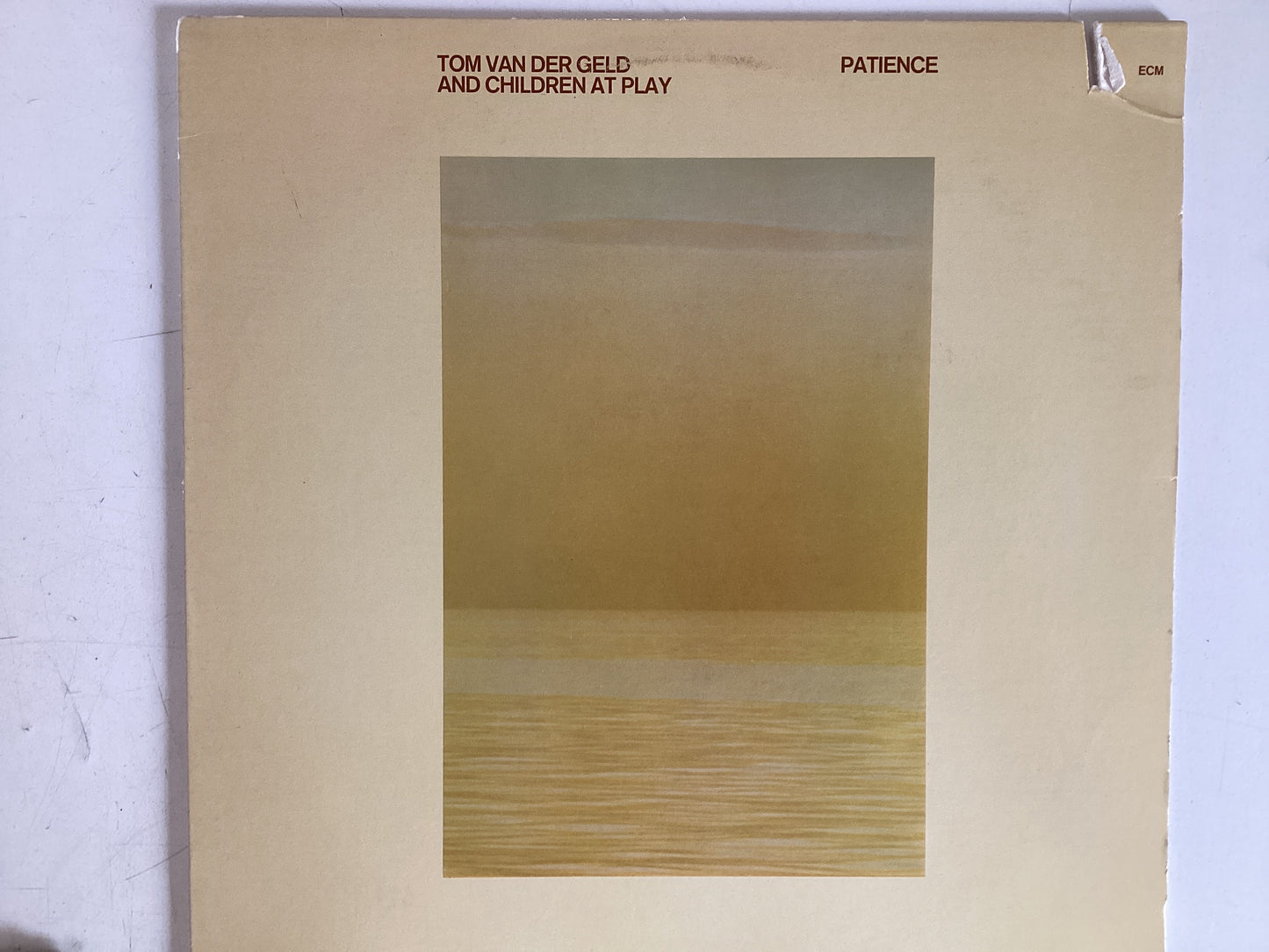 TOM VAN DER GELD AND CHILDREN AT PLAY = PATIENCE (USA 1978) (USED)