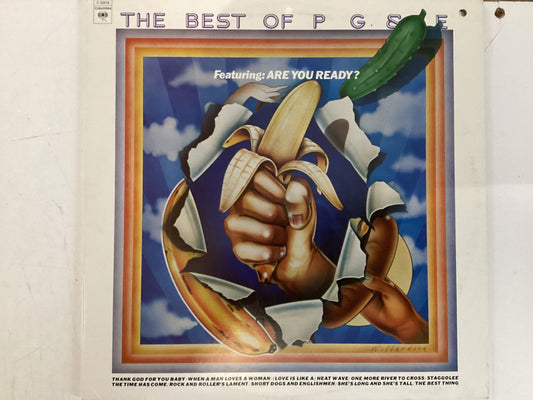 PACIFIC GAS & ELECTRIC = BEST OF (USA 1973) (USED)