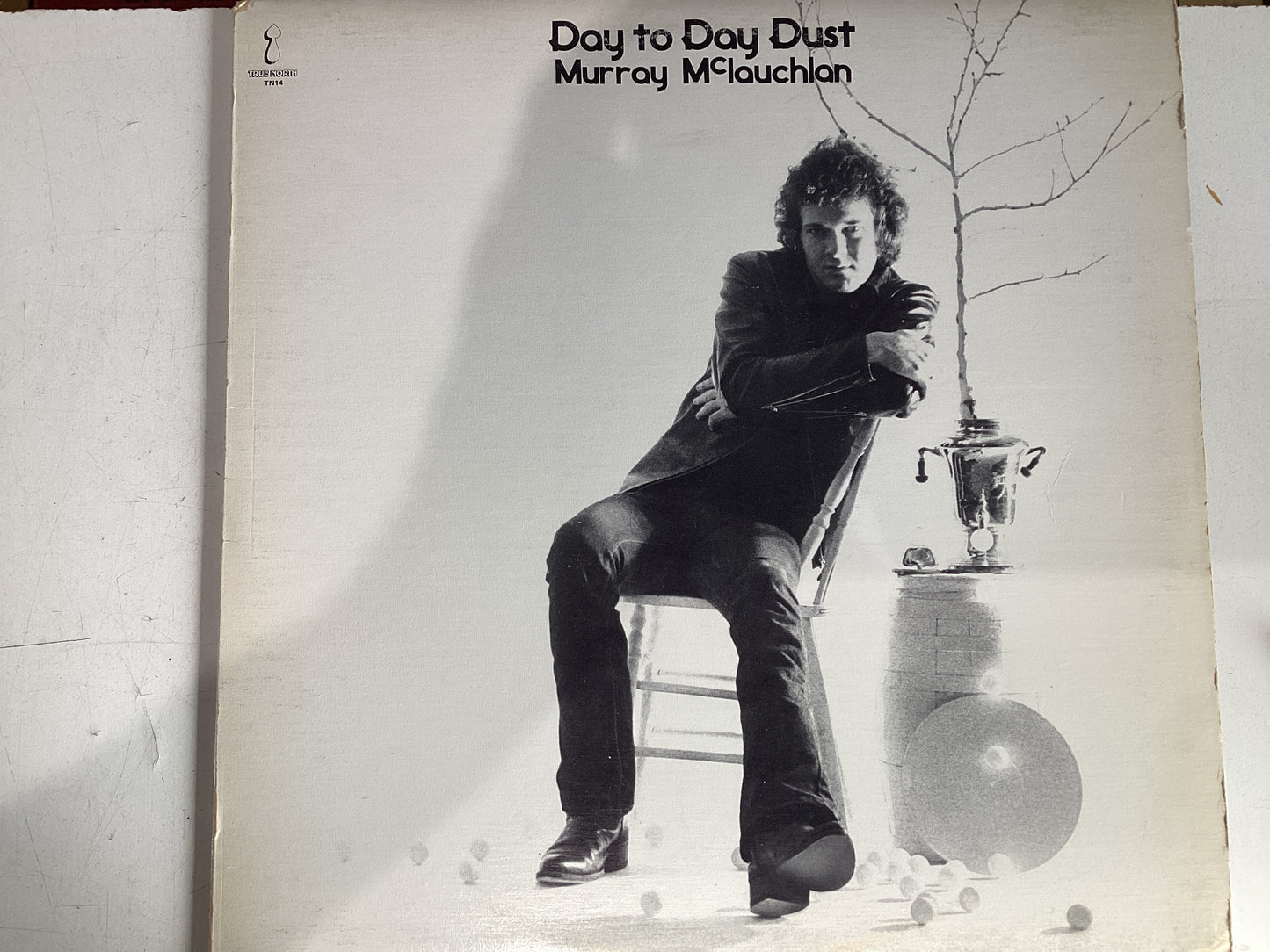 MCLAUGHLIN, MURRAY = DAY TO DAY DUST (CDA 1973) (USED)