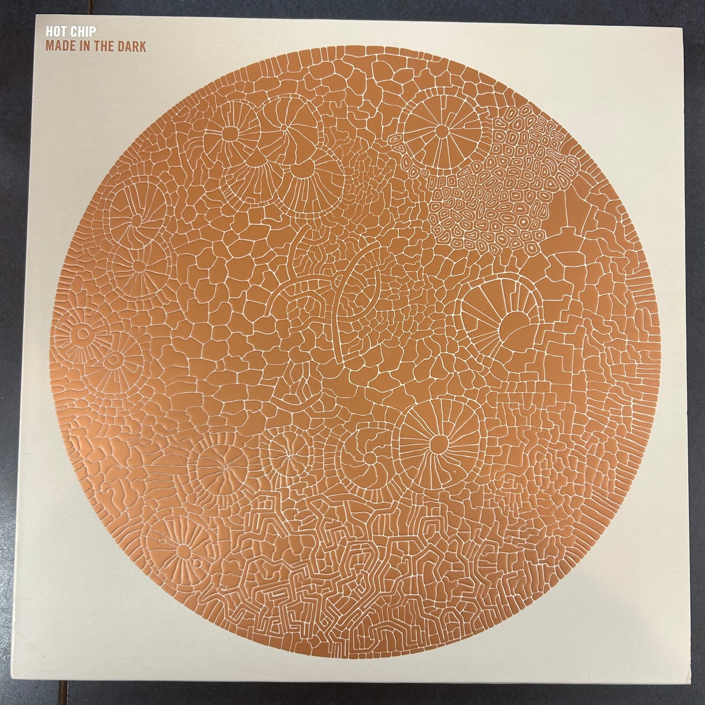 HOT CHIP = MADE IN THE DARK (EU 2008) (USED)