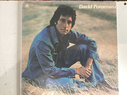 POMERANZ, DAVID = SELF TITLED (USA 1975) (USED)