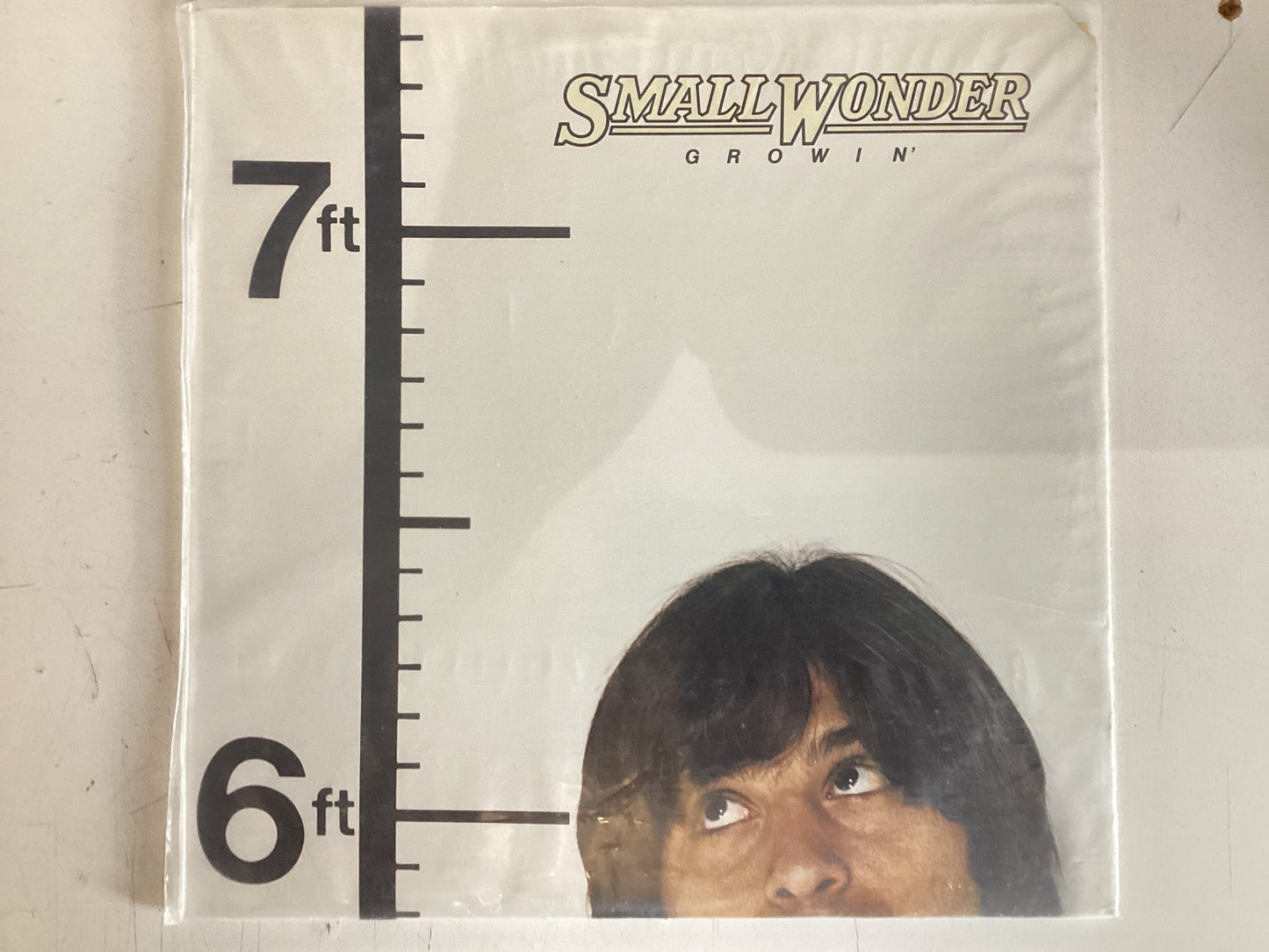 SMALL WONDER = GROWIN’ (CDA 1977) (USED)