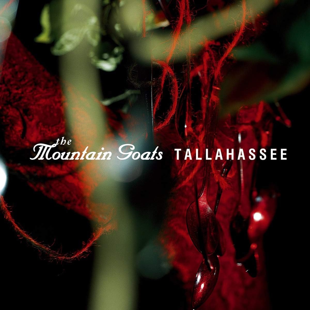MOUNTAIN GOATS = TALLAHASSEE (180G)