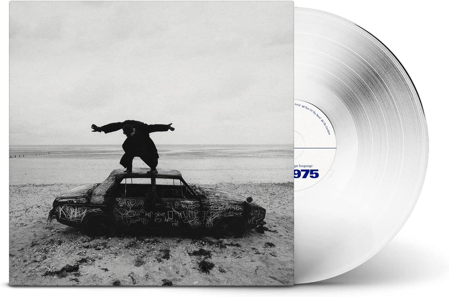 1975 = BEING FUNNY IN A FOREIGN LANGUAGE (180G/CLEAR)