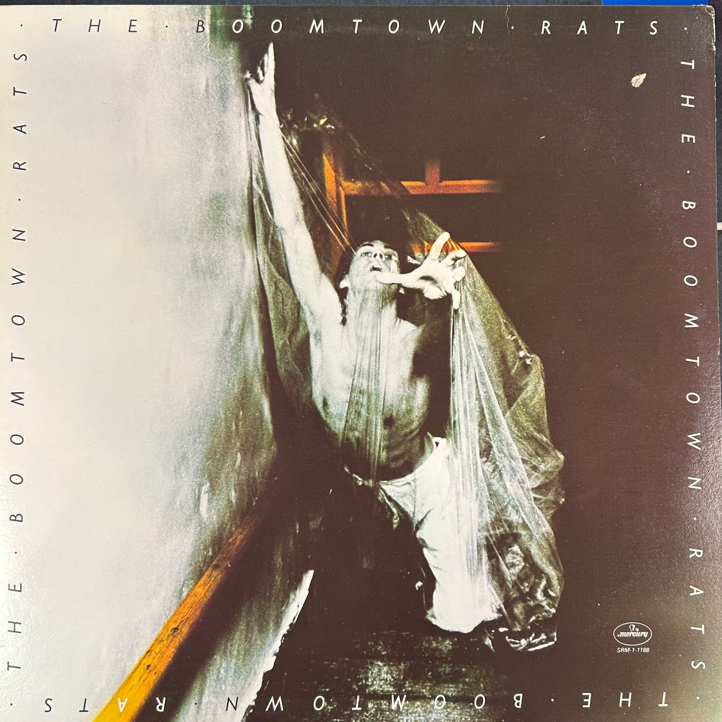 BOOMTOWN RATS = BOOMTOWN RATS (CDN 1977) (USED)