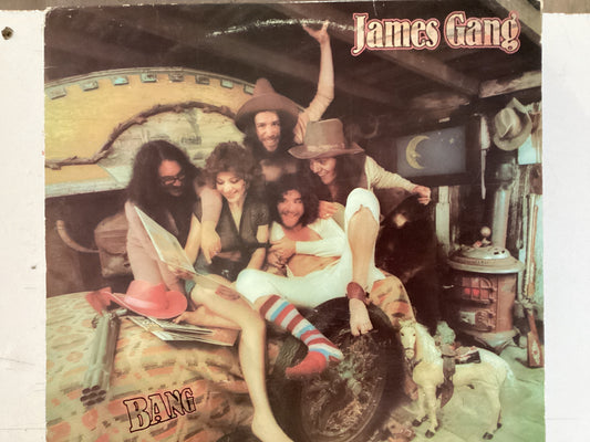 JAMES GANG = STANDING IN THE WIND (USA 1973) (USED)