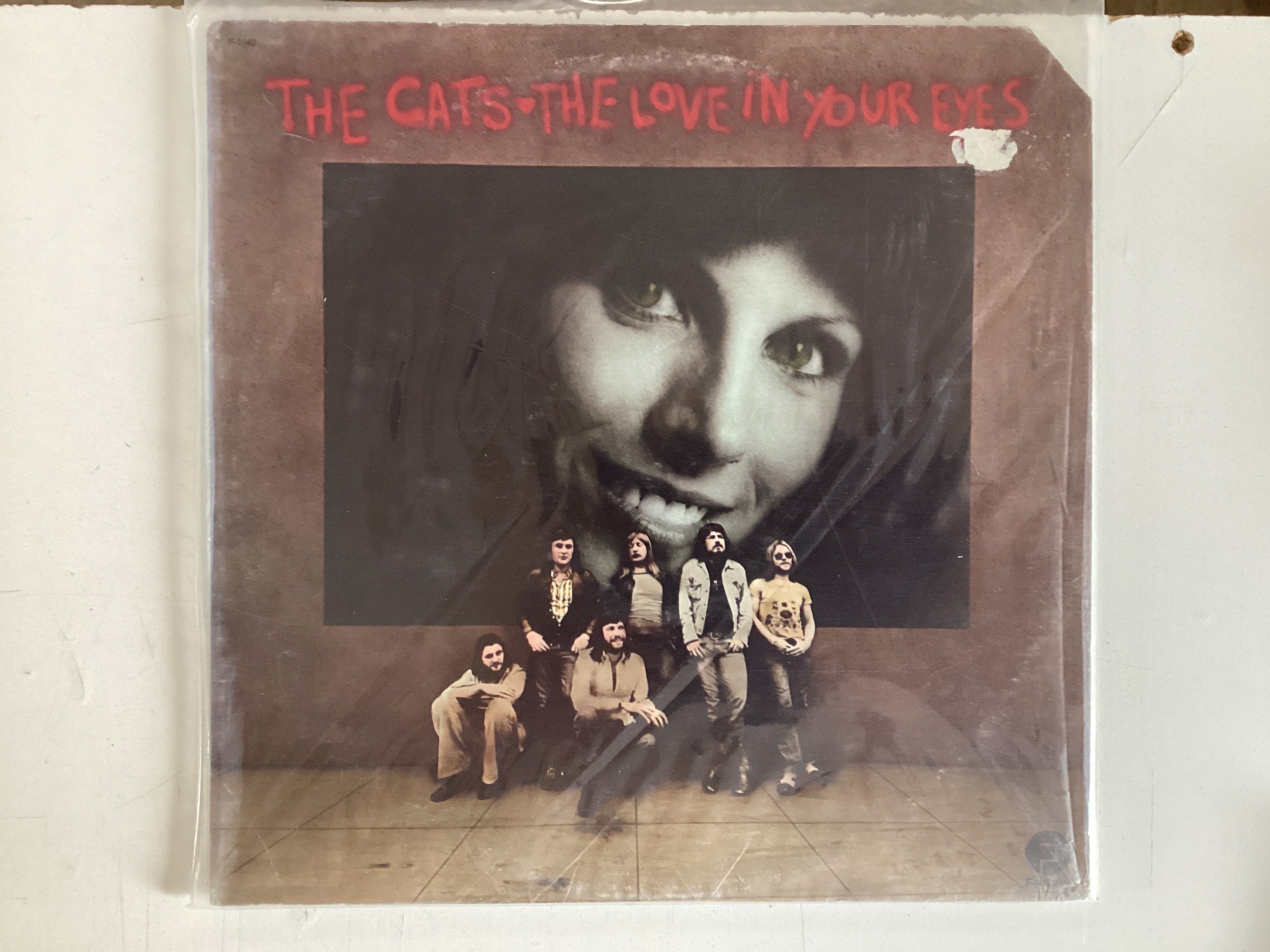 THE CATS = THE LOVE IN YOUR EYES (USA 1974) (USED)