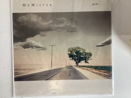 MR. MISTER = GO ON… (USA 1987) (USED)