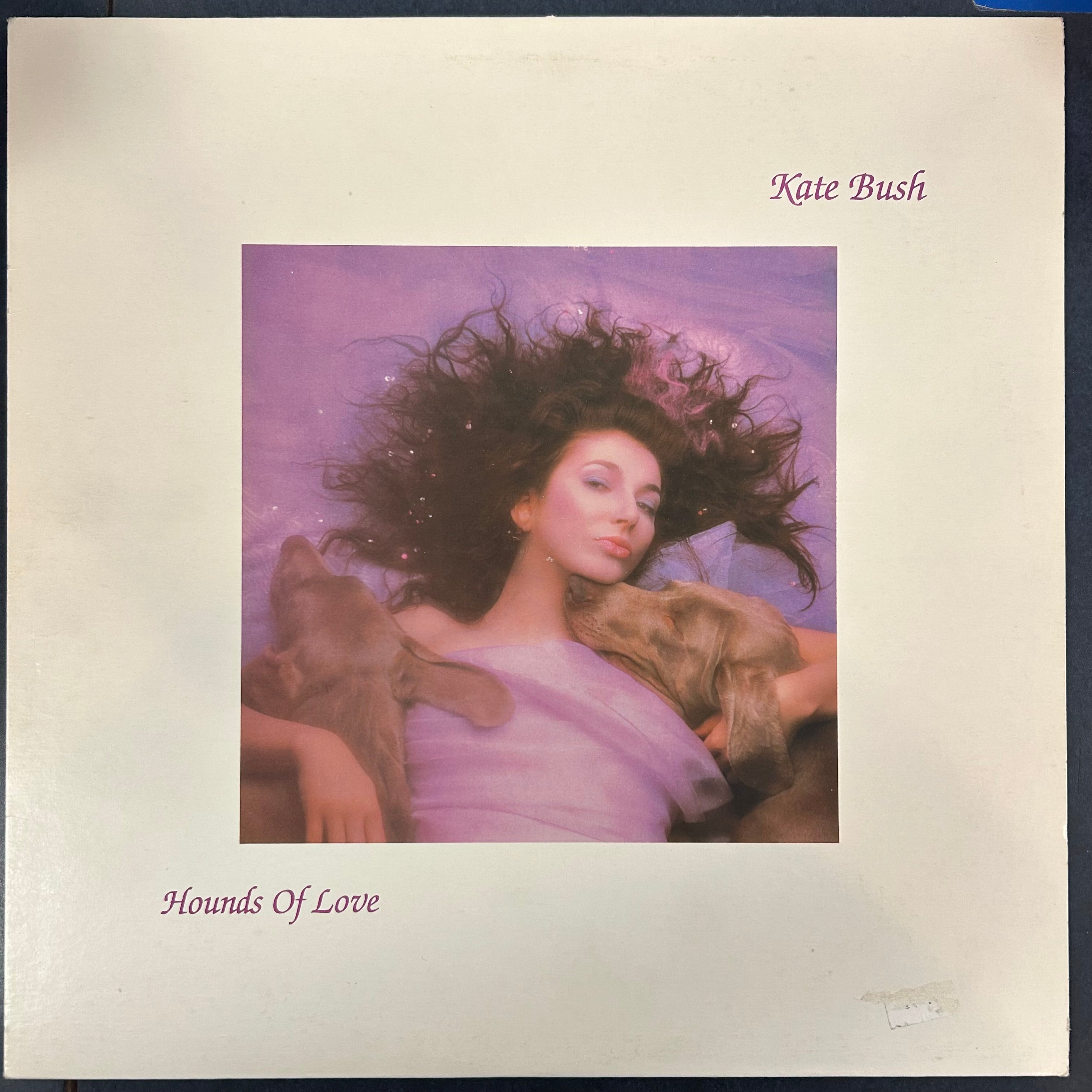 BUSH, KATE = HOUNDS OF LOVE (CDN 1985) (USED)
