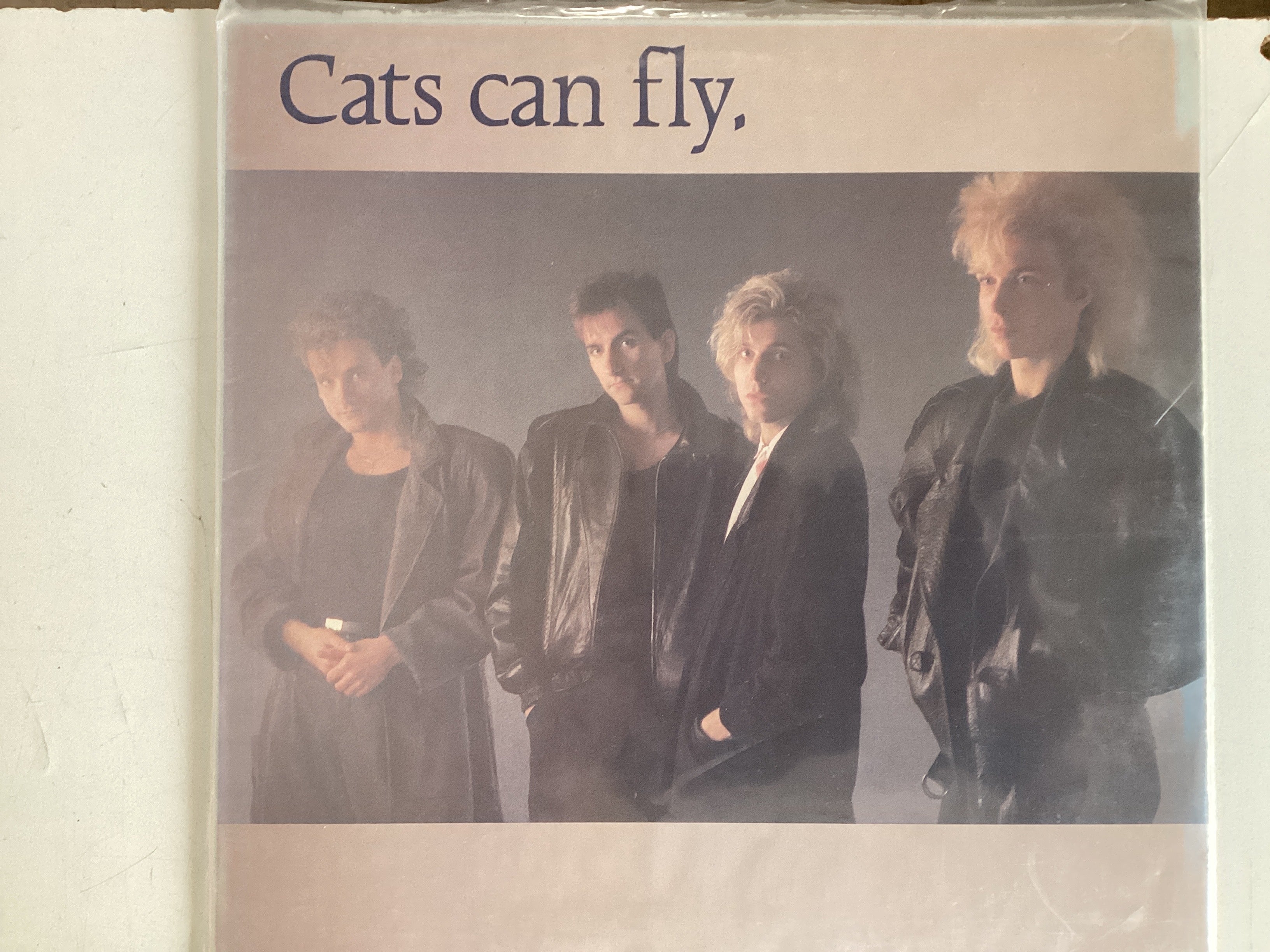 CATS CAN FLY = SELF TITLED (CDA 1986) (USED)
