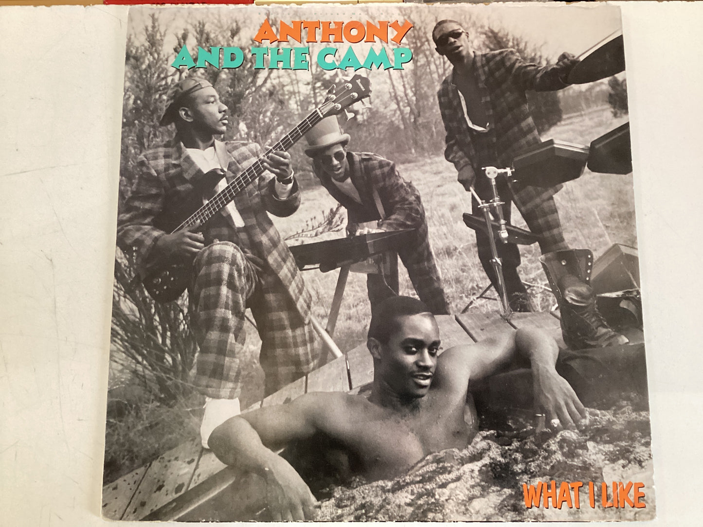ANTHONY AND THE CAMP = WHAT I LIKE (USA 1986) (USED)