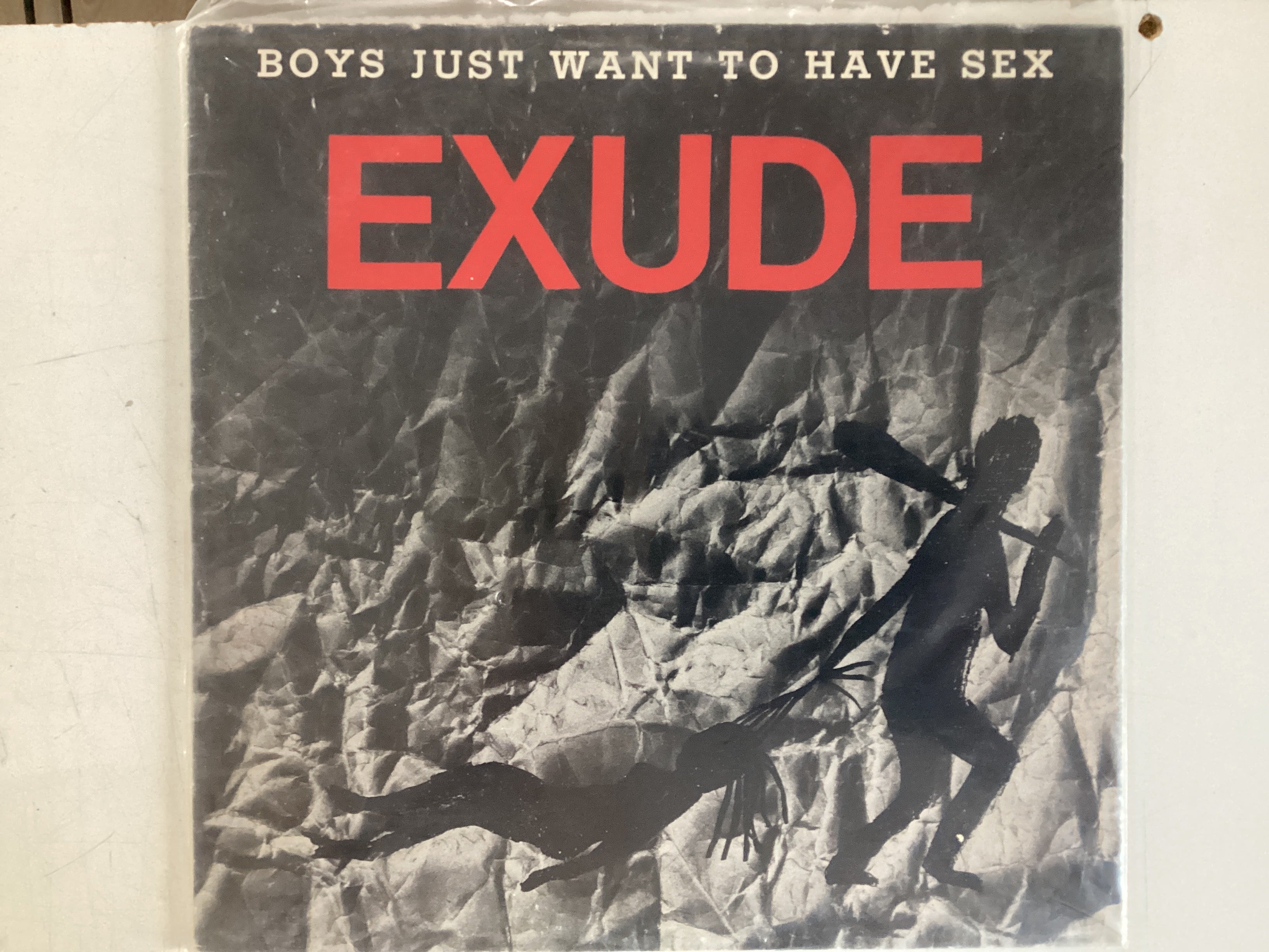 EXUDE = BOYS JUST WANT TO HAVE SEX (USA 1984) (USED)