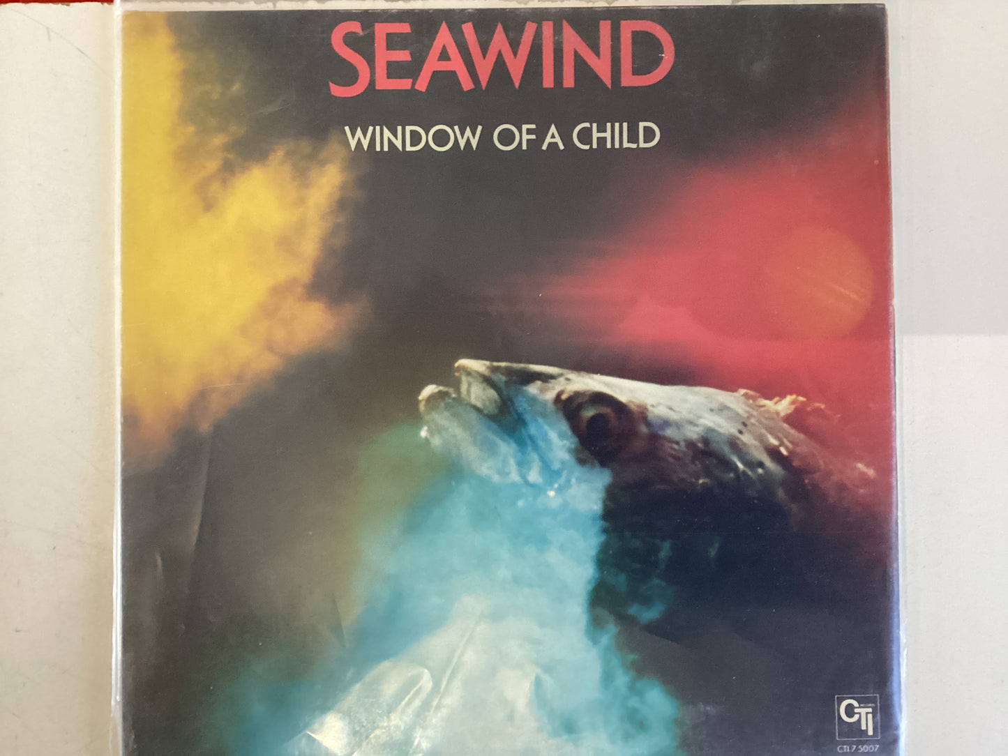 SEAWIND = WINDOW OF A CHILD (CDA 1977) (USED)