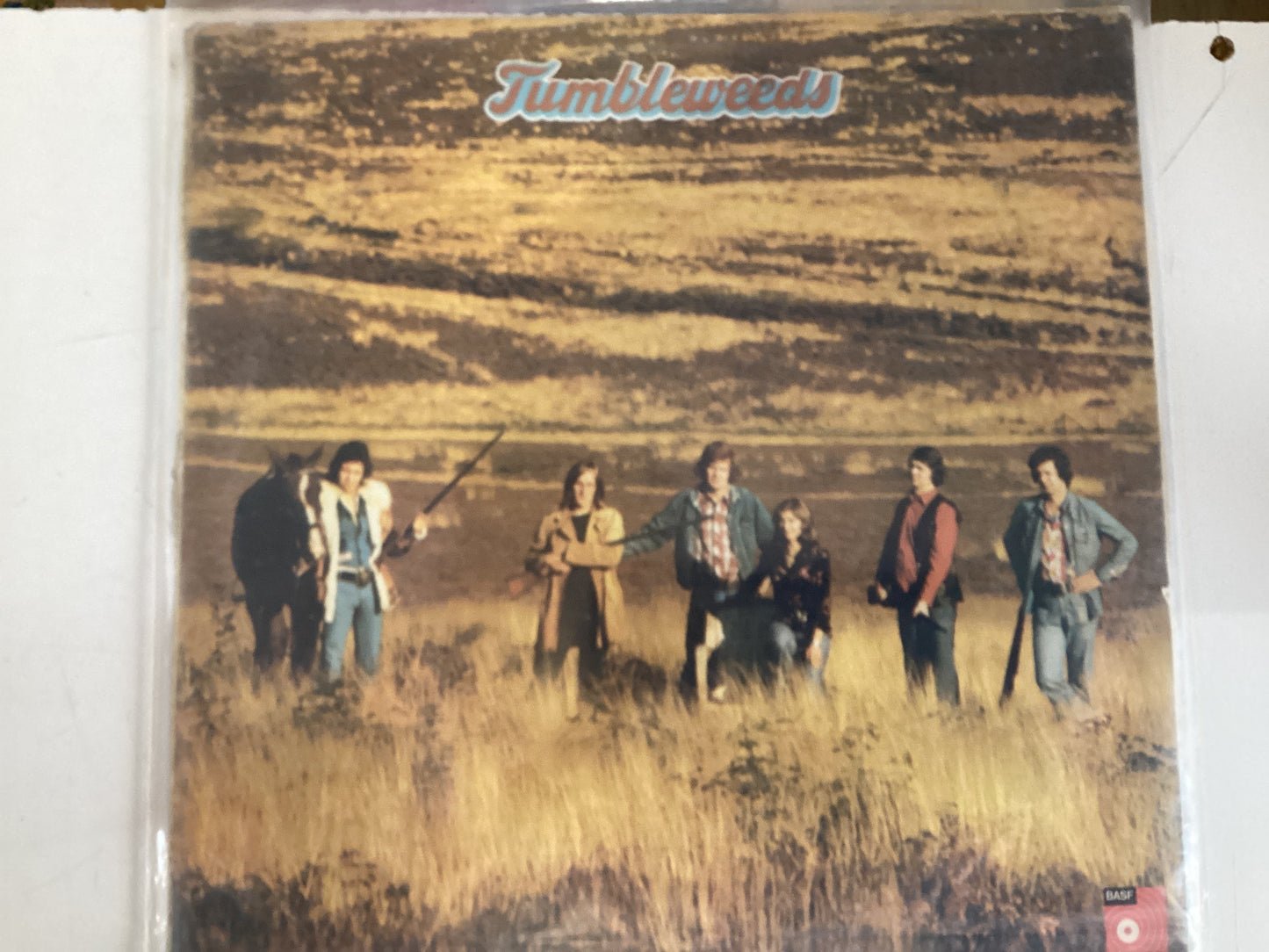 TUMBLEWEEDS = SELF TITLED (CDA 1974) (USED)