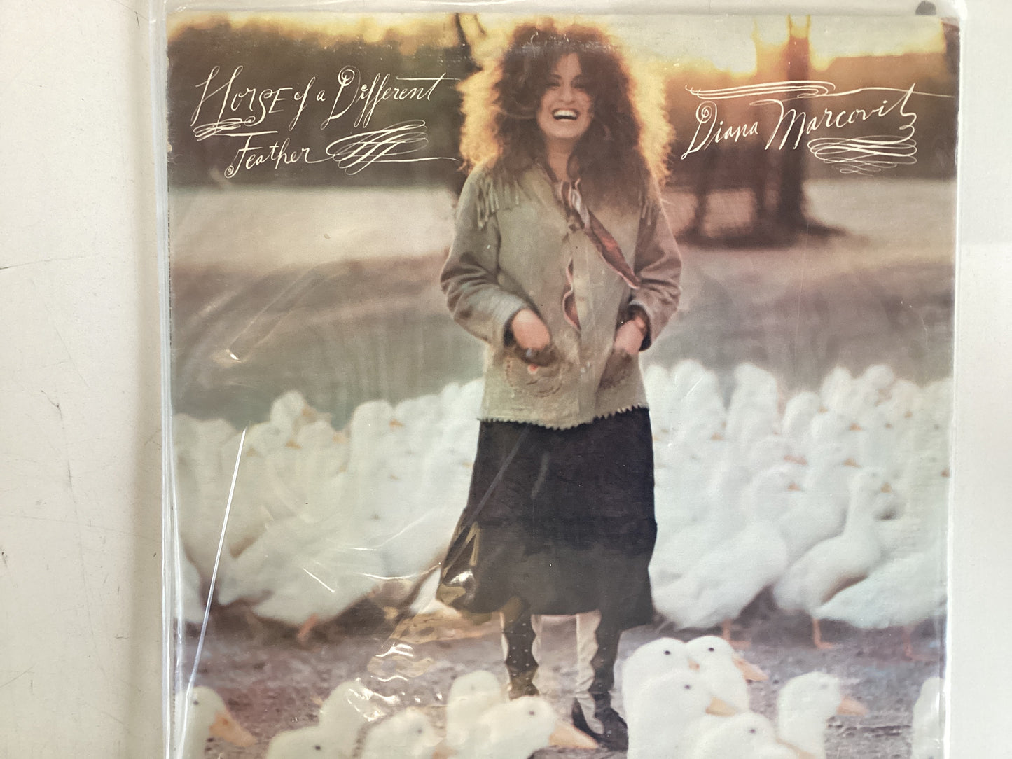 MARCOVITZ, DIANA = HORSE OF A DIFFERENT FEATHER (CDA 1974) (USED)