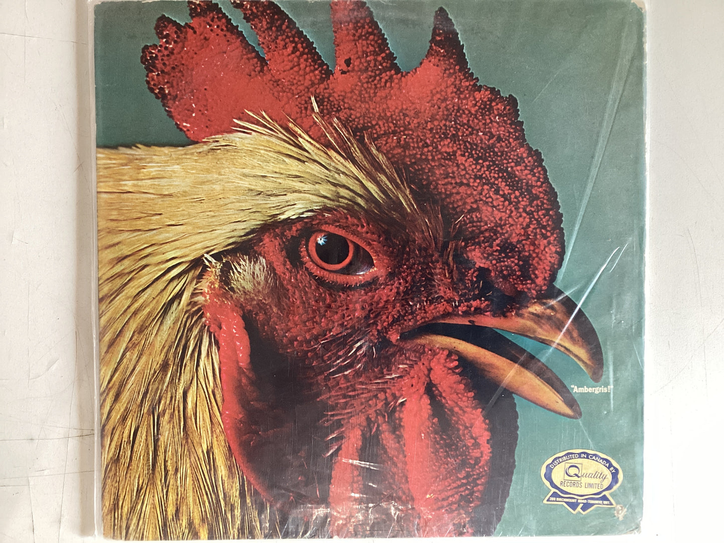 AMBERGRIS = SELF TITLED (USA 1970) (USED)