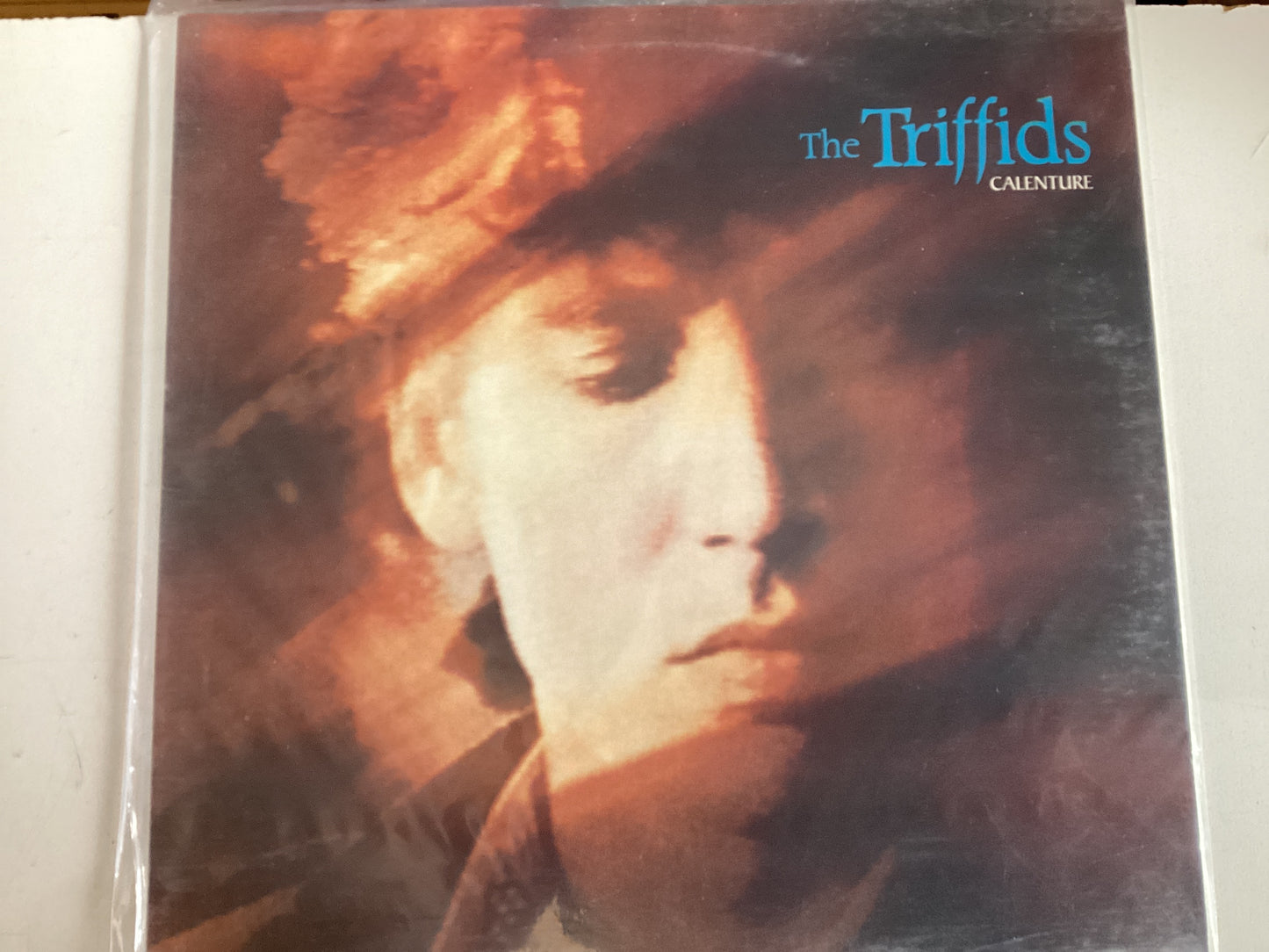 THE TRIFFIDS = CALENTURE (CDA 1987) (USED)