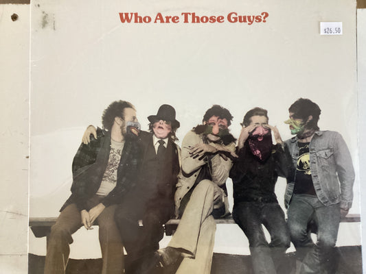 NEW RIDERS OF THE PURPLE SAGE = WHO ARE THESE GUYS (USA 1977) (USED)