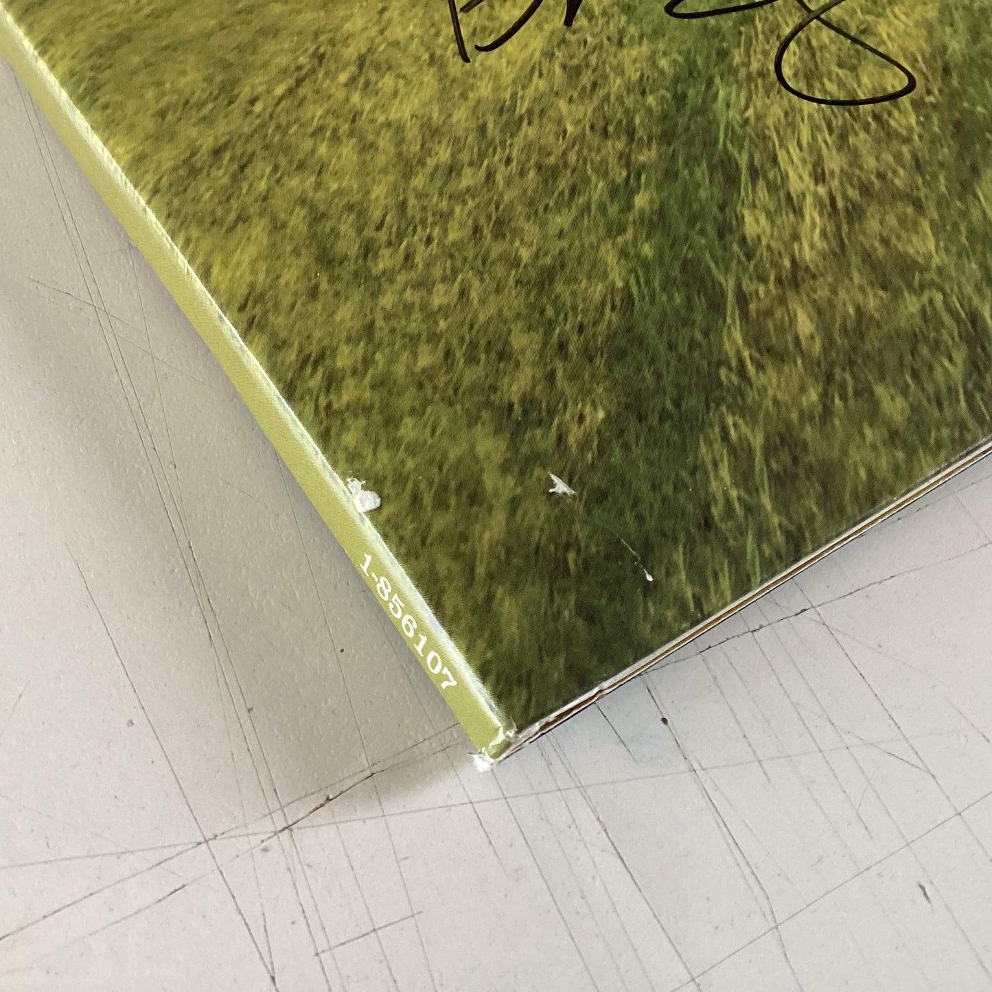 BLUE RODEO = THINGS WE LEFT BEHIND (SIGNED) (CDN 2009) (USED)