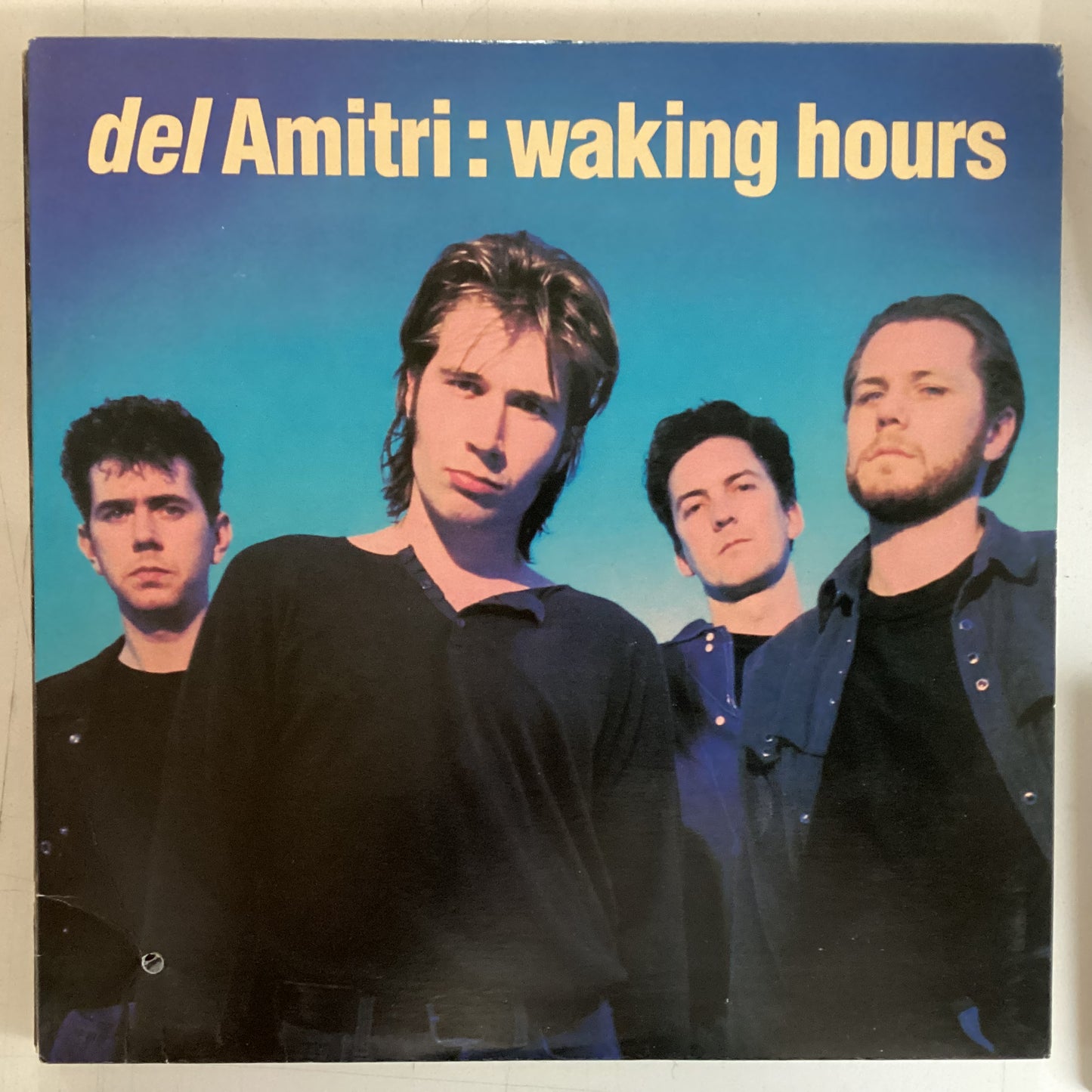 DEL AMITRI = WAKING HOURS (CDN 1989) (USED)