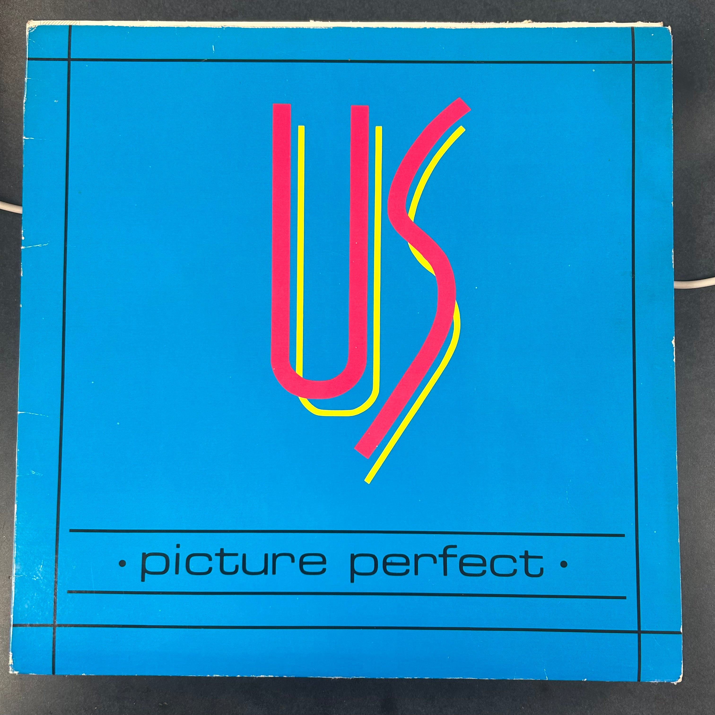 US = PICTURE PERFECT (CDN 1988) (USED)