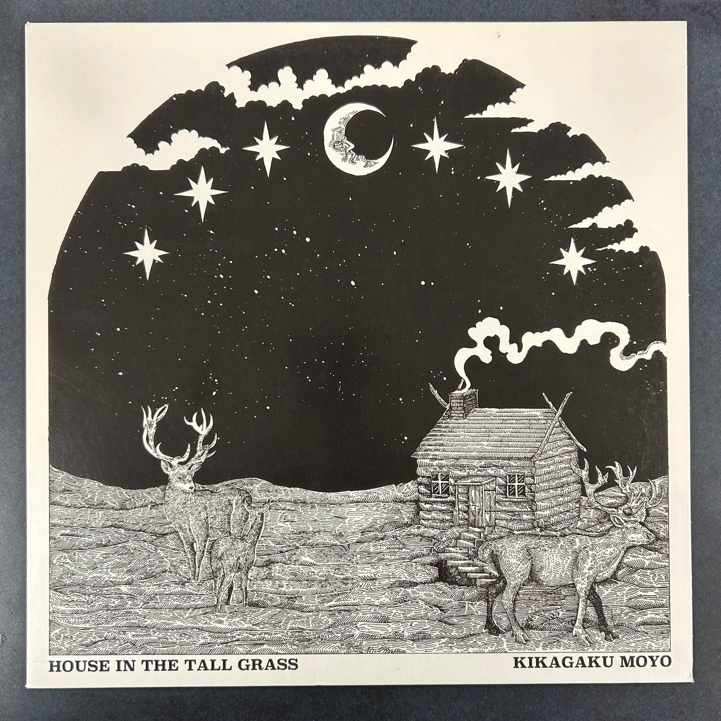 KIKAGAKU MOYO = HOUSE IN THE TALL GRASS (VINYL ME PLEASE) (US 2019) (USED)