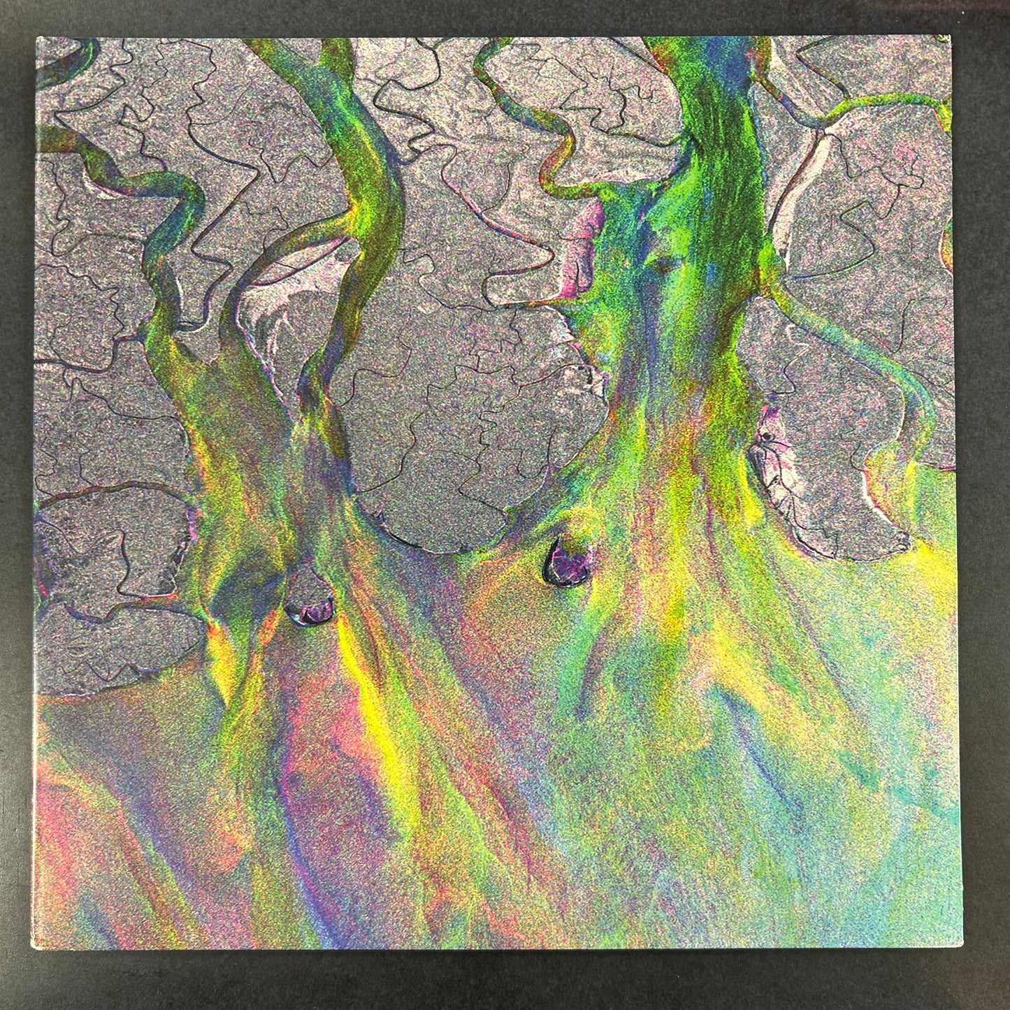 ALT-J = AN AWESOME WAVE (US 2012) (USED)