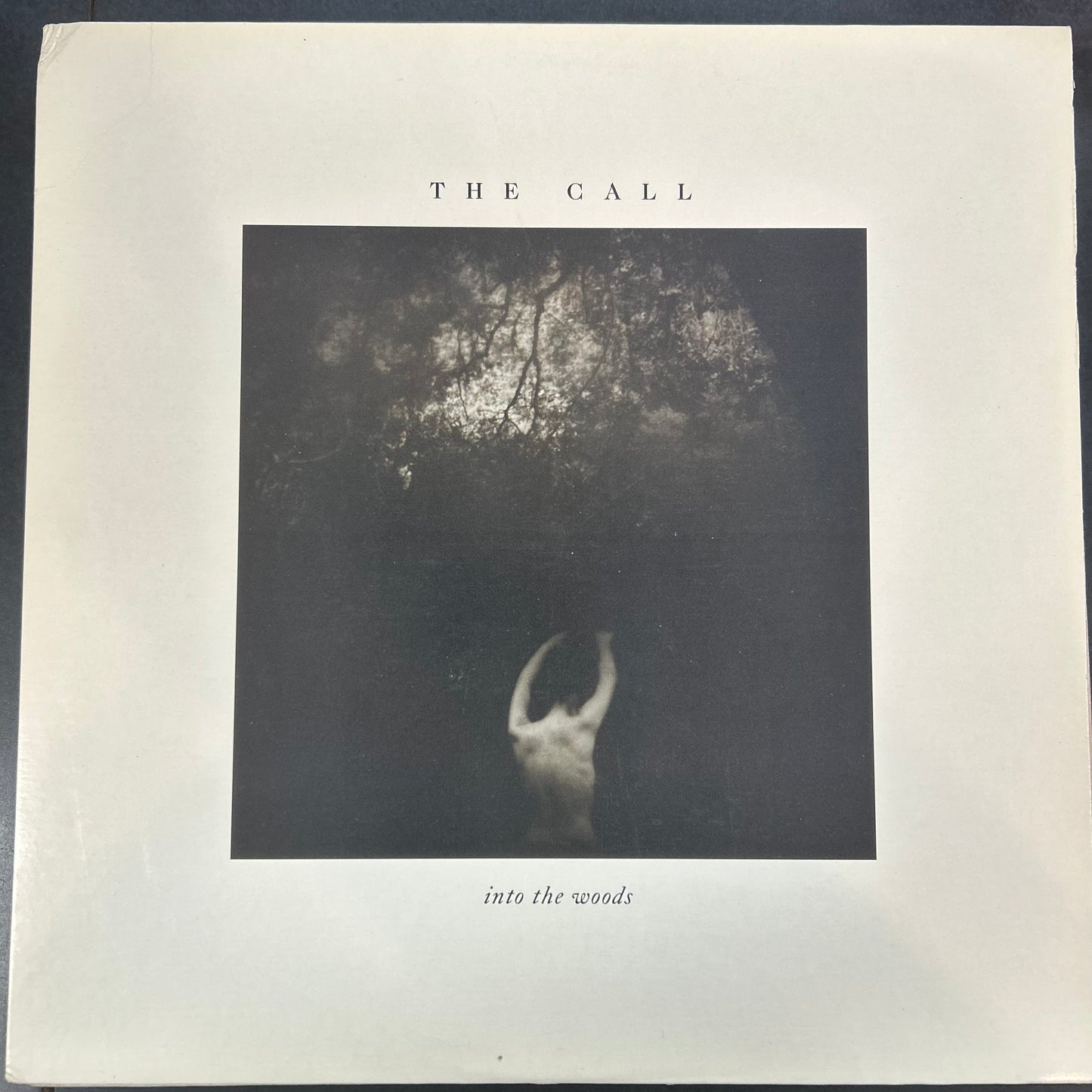 CALL = INTO THE WOODS (CDN 1987) (USED)