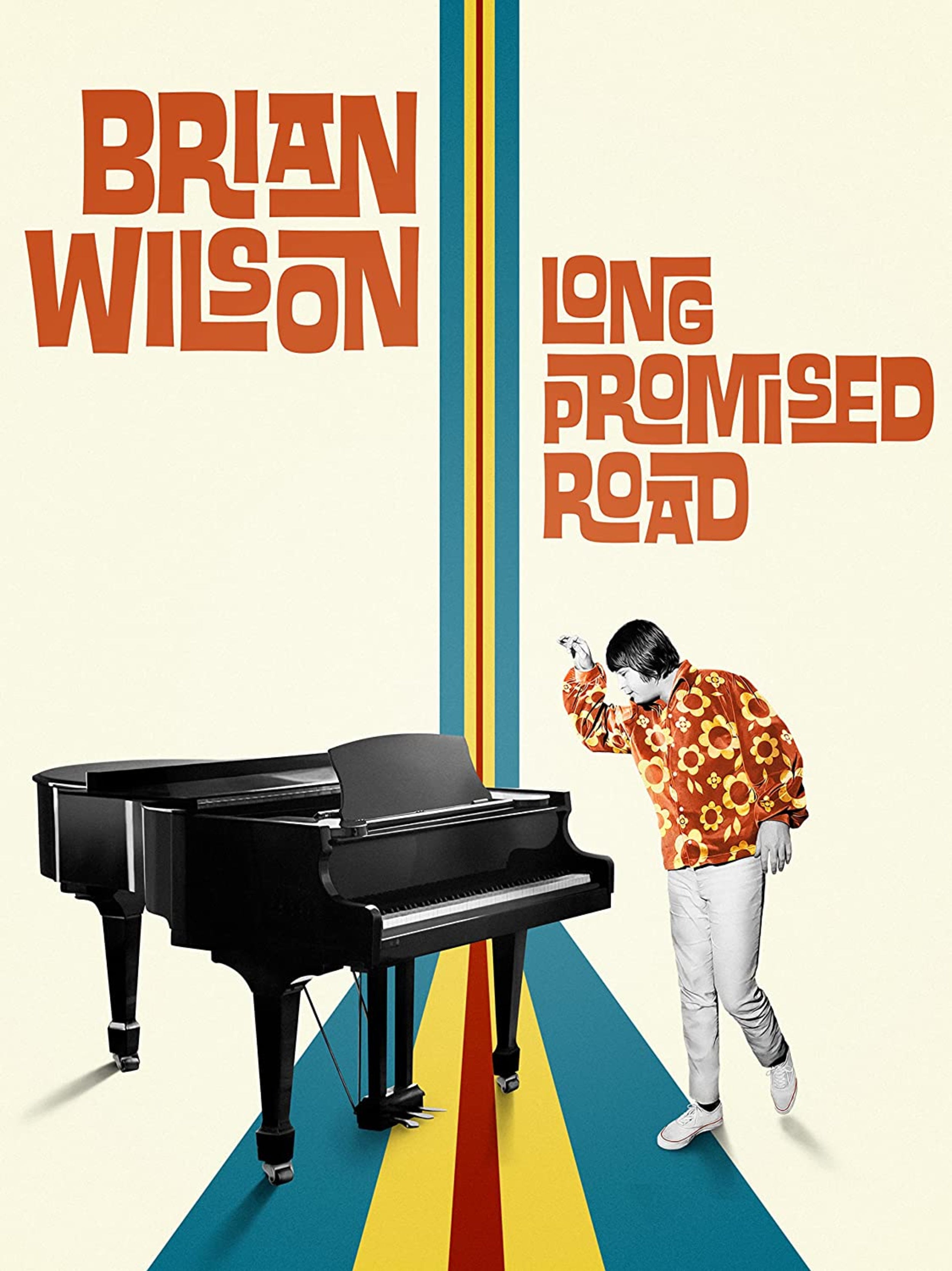 BRIAN WILSON: LONG PROMISED ROAD (DVD)