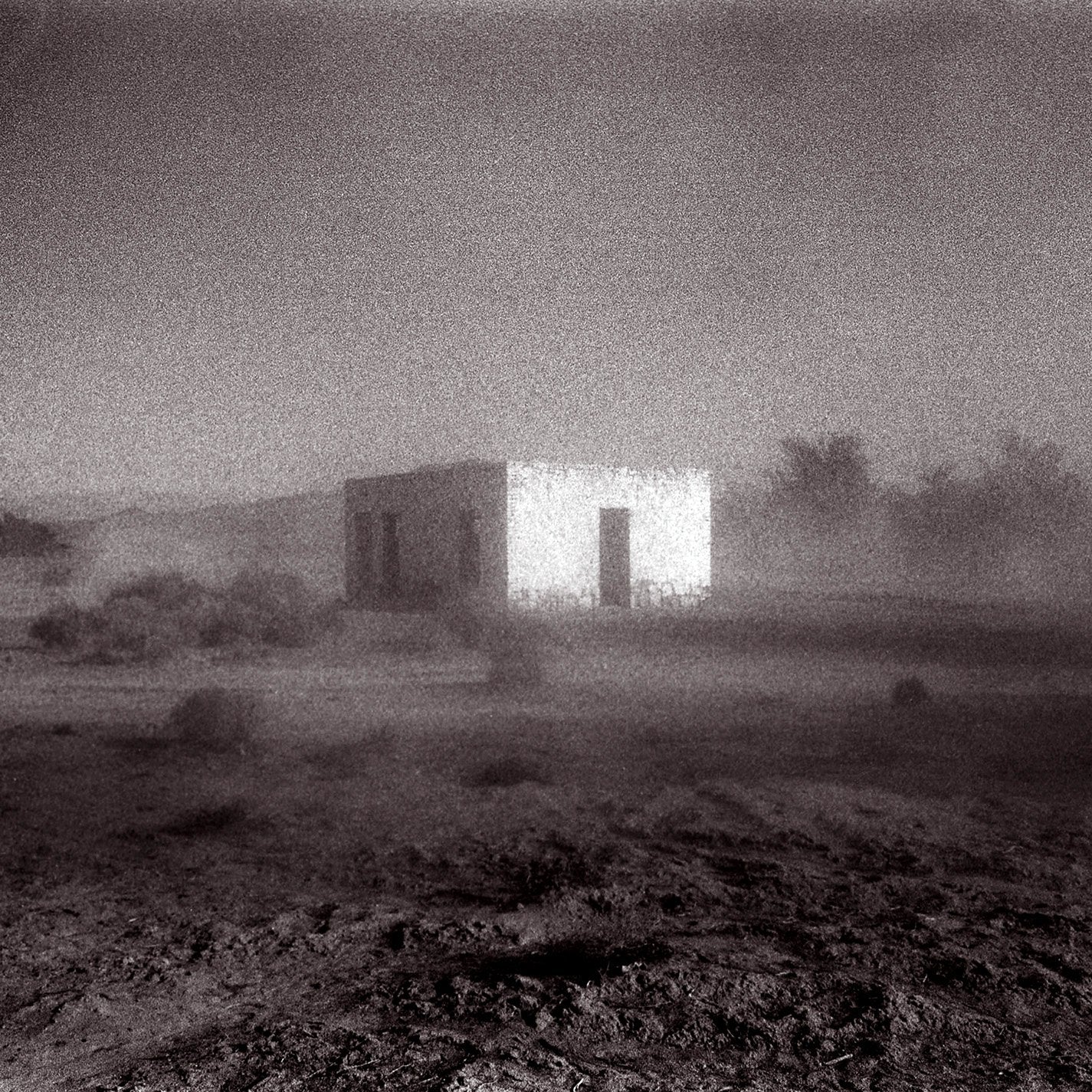 GODSPEED YOU! BLACK EMPEROR = ALLELUJAH! DON'T BEND! ASCEND! (LP+7 IN./180G)