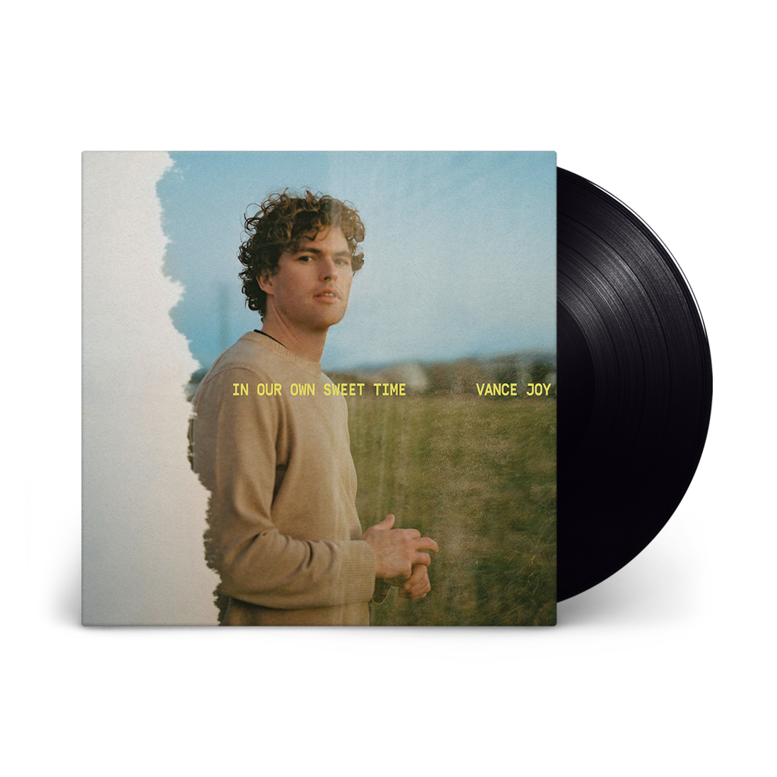 VANCE JOY = IN OUR OWN SWEET TIME (180G)