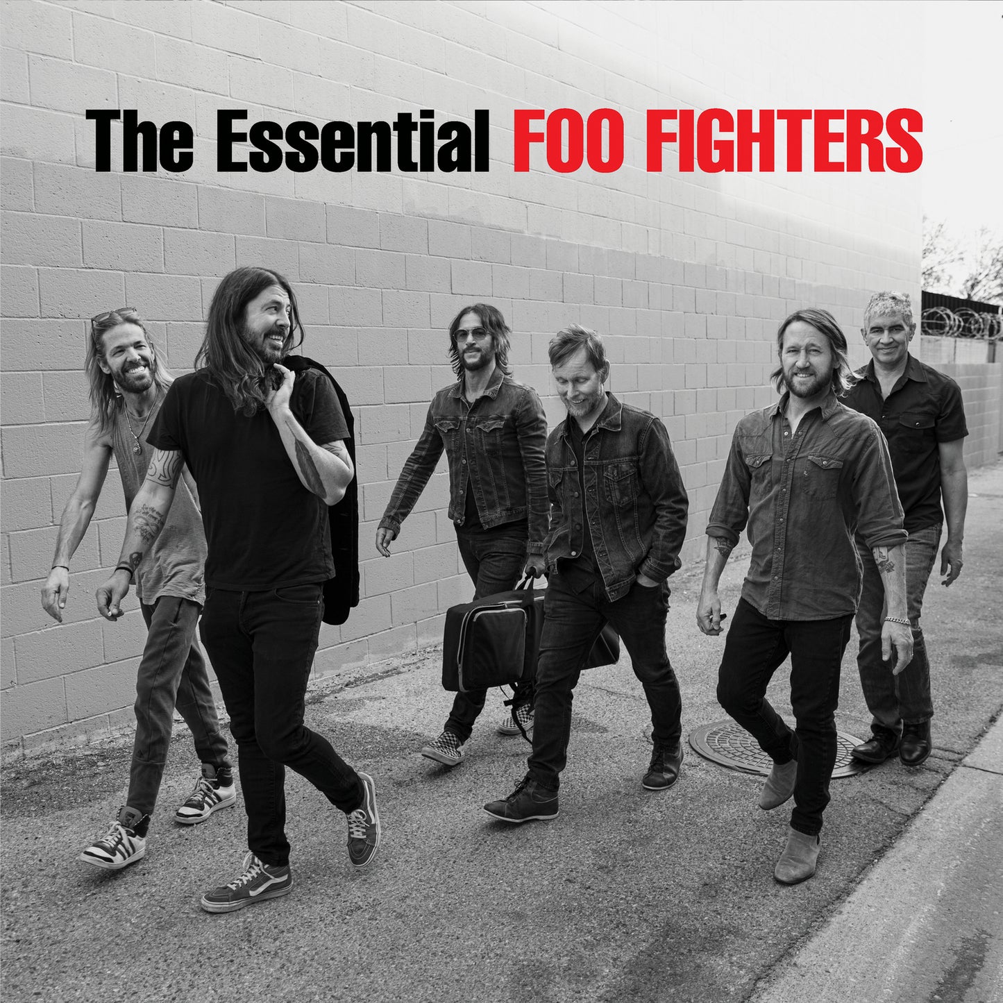 FOO FIGHTERS = ESSENTIAL (2LP/180G)
