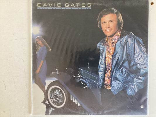 GATES, DAVID = FALLING IN LOVE AGAIN (CDA 1980) (USED)