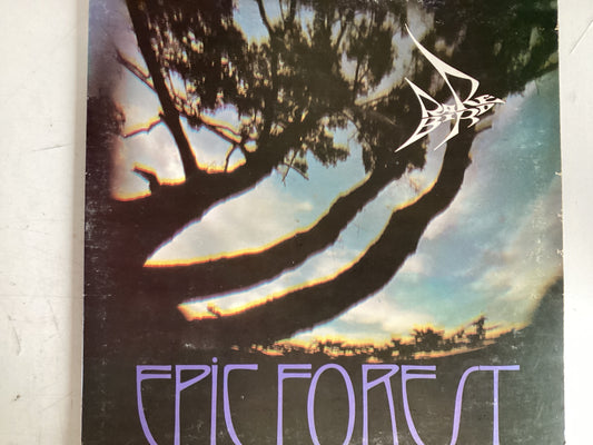 RARE BIRD = EPIC FOREST (UK 1972) (USED)