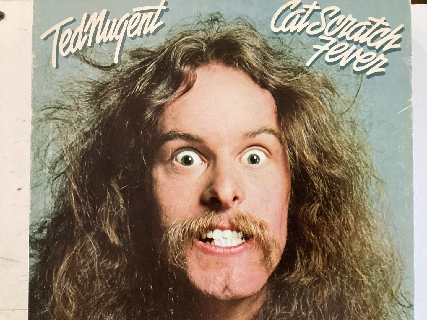 NUGENT, TED = CAT SCRATCH FEVER (CDA 1977) (USED)