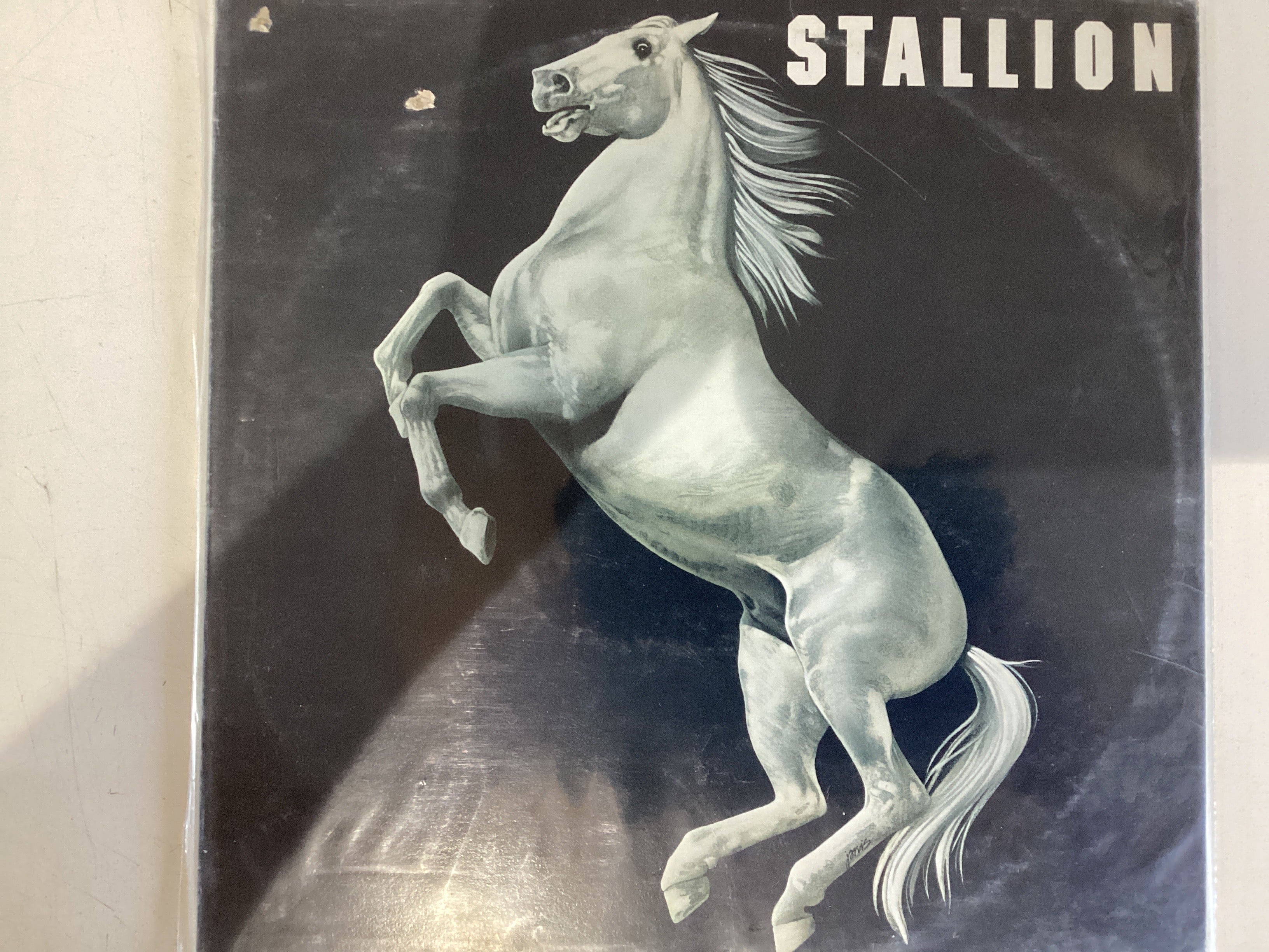 STALLION = SELF TITLED (CDA 1977) (USED) – Legend Records // Ottawa