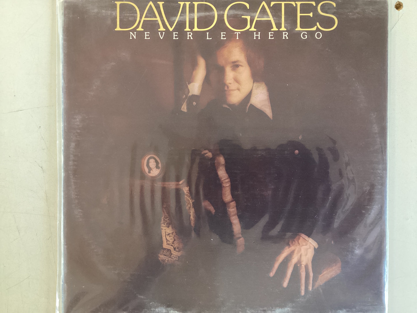 GATES, DAVID = NEVER LET HER GO (CDA 1975) (USED)