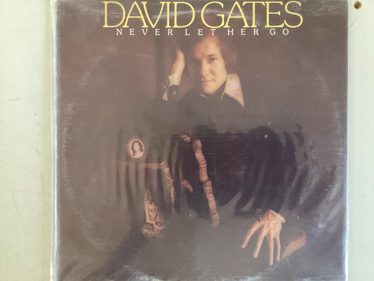 GATES, DAVID = NEVER LET HER GO (CDA 1975) (USED)