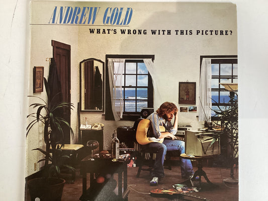 GOLD, ANDREW = WHAT’S WRONG WITH THIS PICTURE (CDA 1977) (USED)