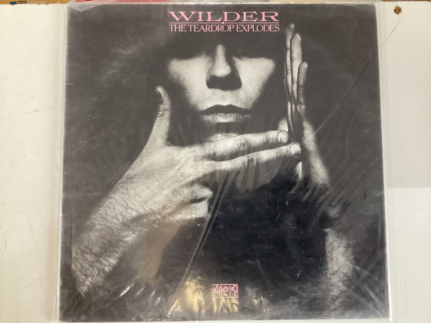 WILDER = THE TEARDROP EXPLODES (CDA 1981) (USED)