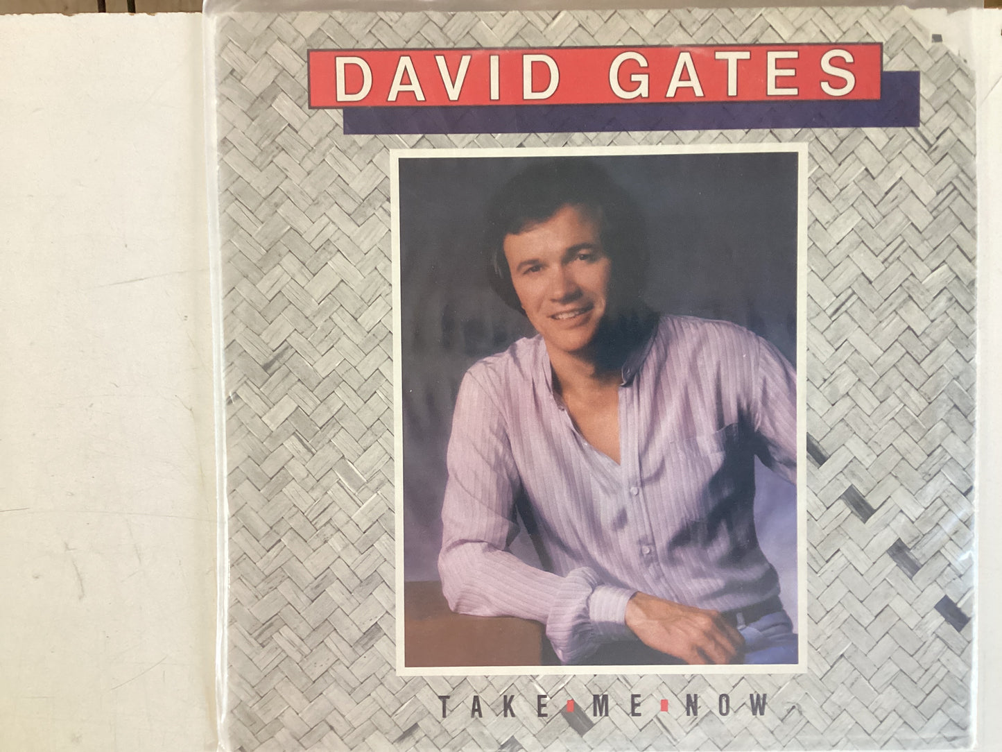 GATES, DAVID = TAKE ME NOW (USA 1981) (USED)
