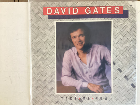 GATES, DAVID = TAKE ME NOW (USA 1981) (USED)