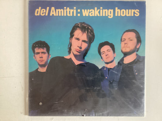 DEL AMITRI = WAKING HOURS (CDA 1989) (USED)