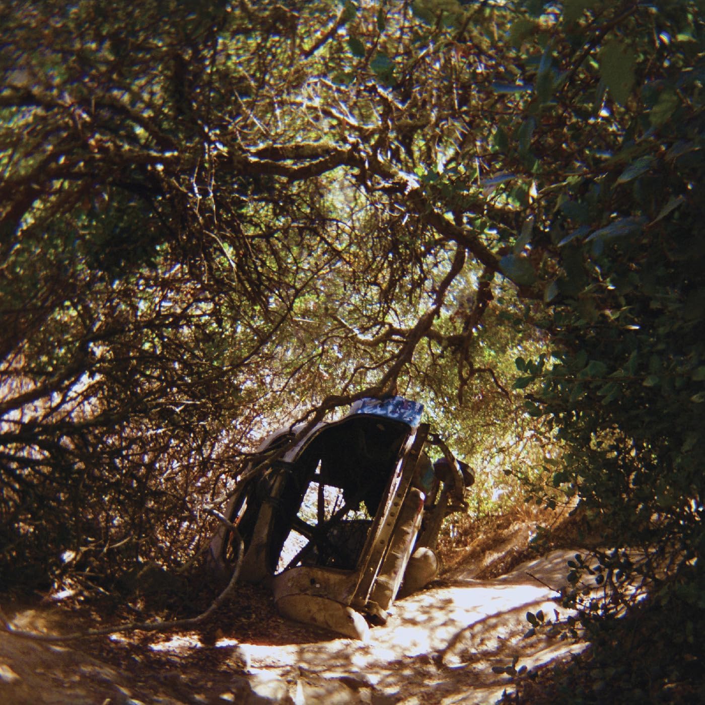 SEGALL, TY = POSSESSION (180G)