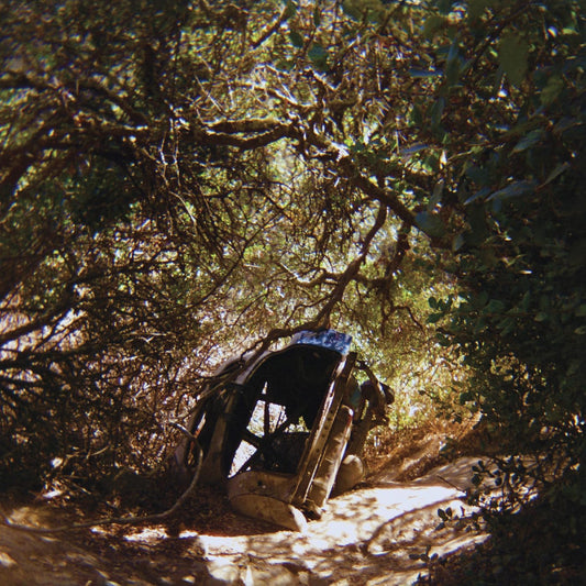 SEGALL, TY = POSSESSION (180G)