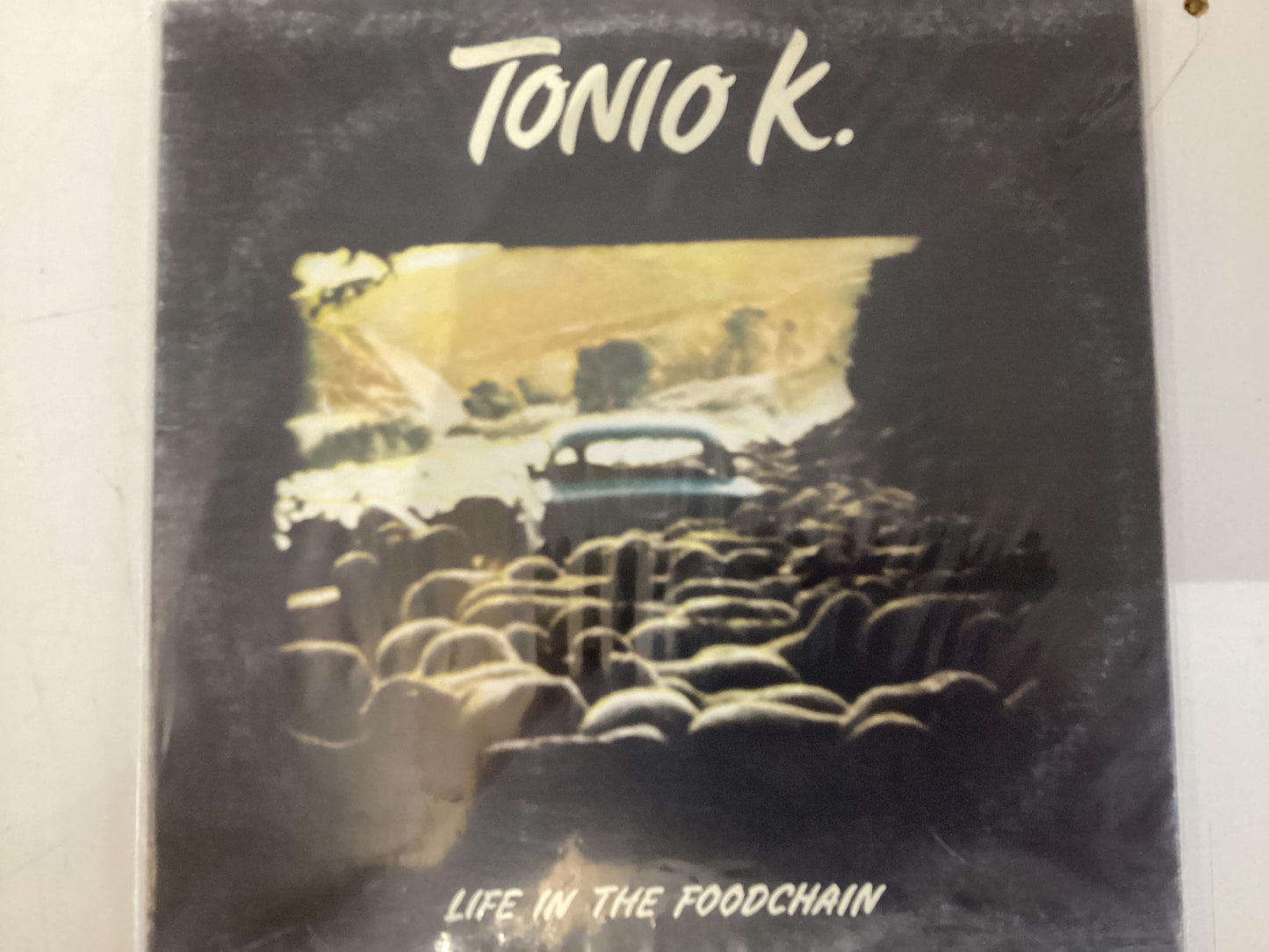 TONIO K. = LIFE IN THE FOODCHAIN (CDA 1978) (USED)