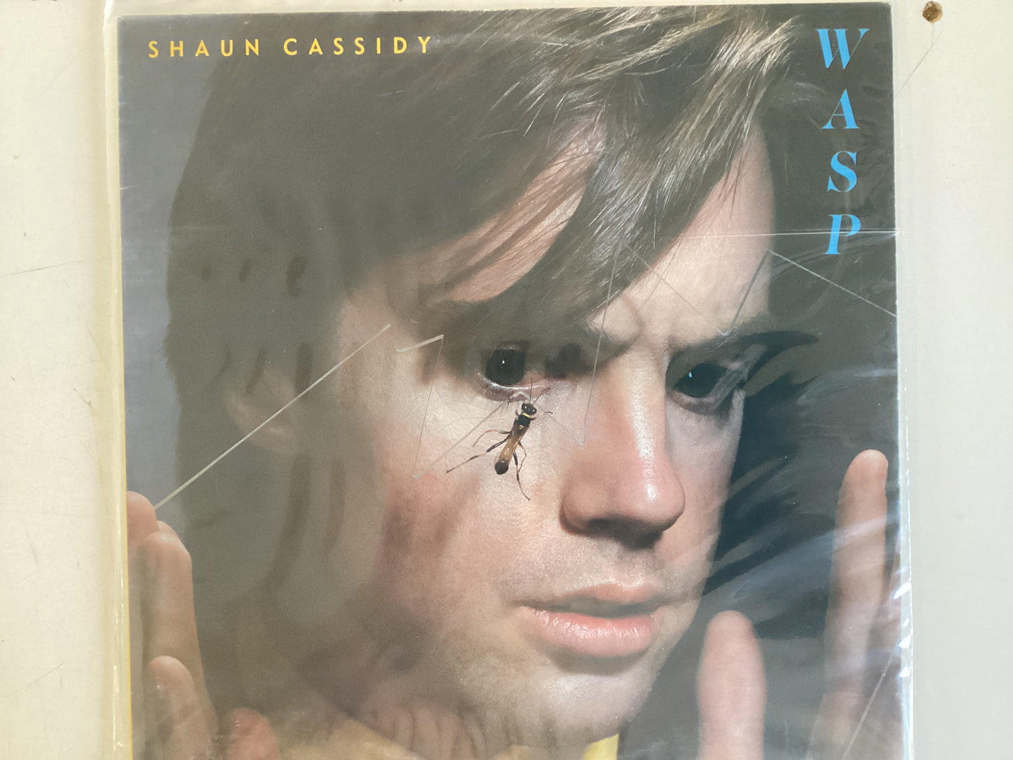 CASSIDY, SHAUN = WASP (CDA 1980) (USED)