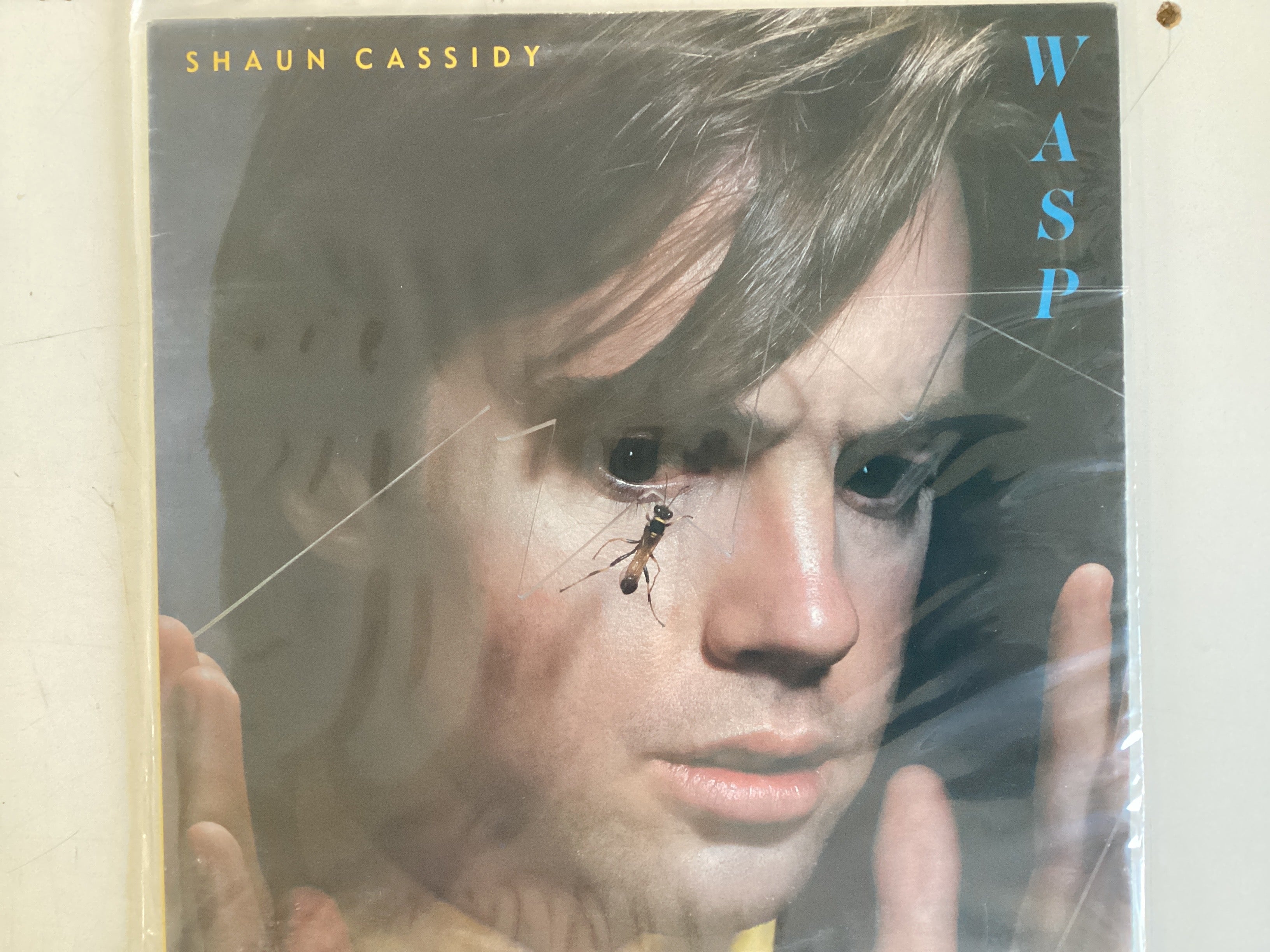CASSIDY, SHAUN = WASP (CDA 1980) (USED)