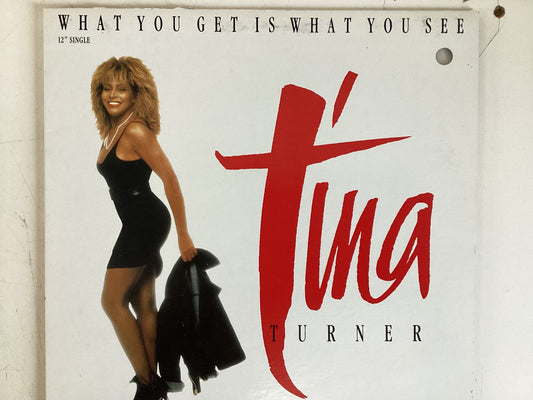 TURNER, TINA = WHAT YOU GET IS WHAT YOU SEE (CDA 1986) (USED)
