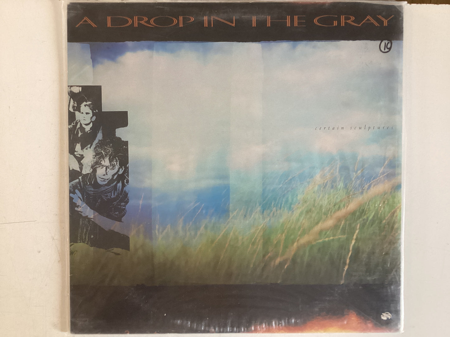 A DROP IN THE GRAY = CERTAIN SCULPTURES (CDA 1985) (USED)
